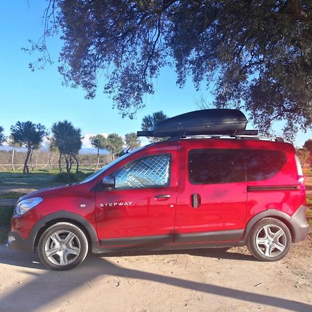 ホテル Dacia Dokker Camperiz パルマ・デ・マリョルカ エクステリア 写真